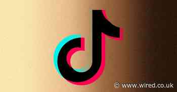 Why is TikTok creating filter bubbles based on your race?