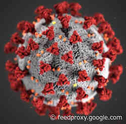 Thanks to the U.S.-China trade war, companies like Apple are better prepared for coronavirus