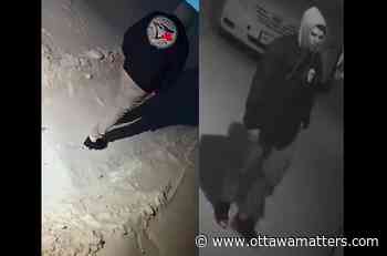 Ottawa police looking for suspect in residential break-in, just east of Vanier - OttawaMatters.com