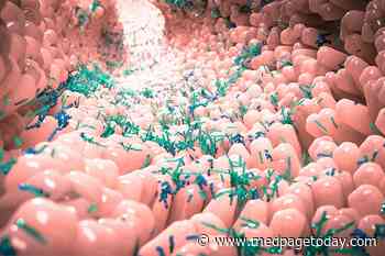 Gut Diversity Before HCT Predicts Survival in Blood Cancers