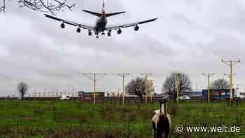 Heathrow-Urteil offenbart erstmals die Macht des Pariser Klimavertrags