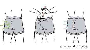 Flatulence-filtering gadget for flyers - Stuff.co.nz