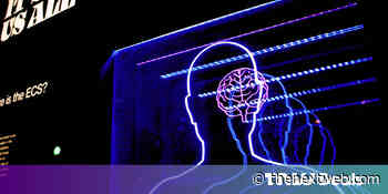 How to improve your memory for under $20