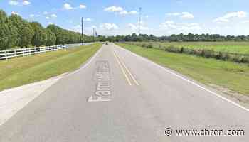 Driver dead after crash involving Waller ISD bus, police say