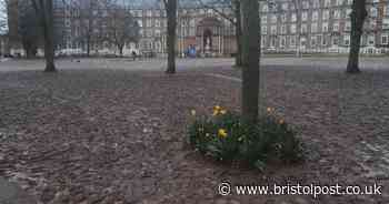 Fundraiser set up to repair College Green after thousands gather to hear Greta speak