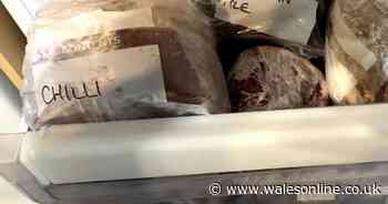 Savvy Welsh Mam manages to prep eight weeks of meals in one go