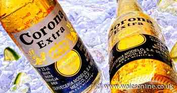 The makers of Corona beer hit by a £132million loss in profits following coronavirus outbreak