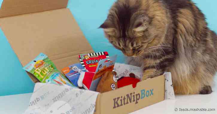 Yes, your cat deserves a subscription box, too