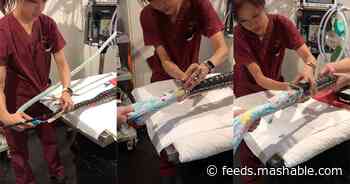 Greedy snake gobbles entire beach towel, heroic vets extract the whole thing