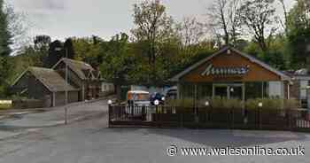 Popular and long-running Indian restaurant in Swansea slips from one hygiene rating to zero