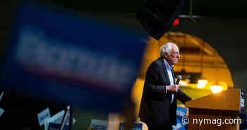 Can Bernie Sanders Get Away With Hiding His Medical Records? - New York Magazine