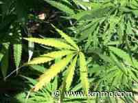 MO HOUSE GIVES PRELIMINARY APPROVAL TO PROPOSED CHANGES TO MEDICAL MARIJUANA INDUSTRY - kmmo.com