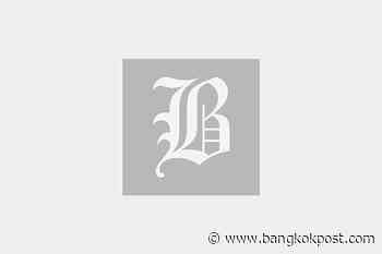 Medical Cannabis: Thailand leads worldwide healthcare promotion - Bangkok Post