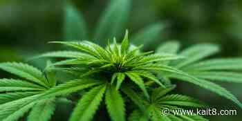 2 violations upheld for Hot Springs medical pot dispensary - KAIT