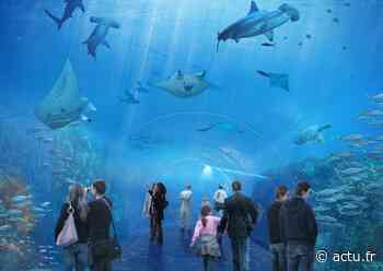 Arras, Boulogne-sur-Mer... Que faire ce week-end, dans le Pas-de-Calais ? - actu.fr