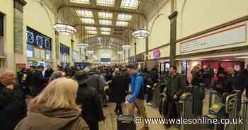 Rush hour chaos as rail travel out of Cardiff 'unlikely' as heavy rain and flooding hits