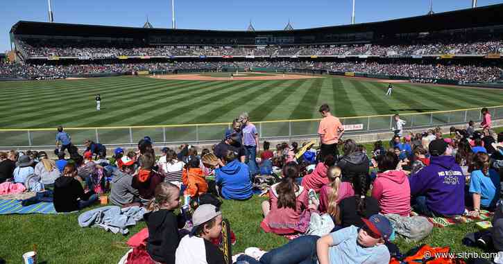 Salt Lake Bees will extend protective netting down the baselines at Smith’s Ballpark