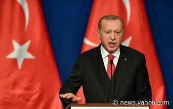 Options narrowing for Erdogan after Idlib strikes