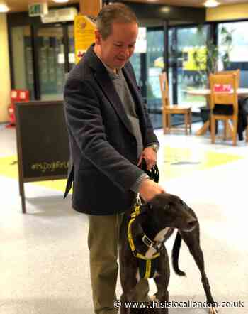 Harefield dogs meet their Member of Paw-liament