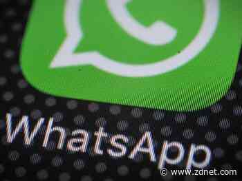 Most Brazilian consumers interact with brands through WhatsApp