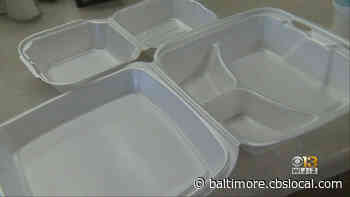 Styrofoam Ban Now In Effect Across Anne Arundel County
