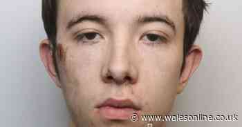 Teen breaks into his former teacher's house and then smashes it up