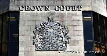 Dad viciously attacks his six-week-old son leaving him with fractured skull and bleed to brain