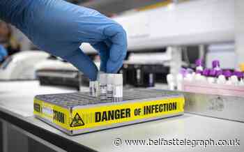 Crucial to track where latest coronavirus case came from, experts say