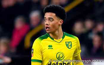 Jamal Lewis strike gives Norwich vital victory over Leicester