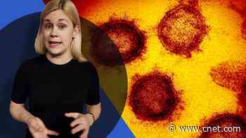 Coronavirus and COVID-19: Everything you need to know video     - CNET