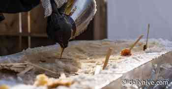 21 marvellous March food events to check out in Toronto | Dished - Daily Hive