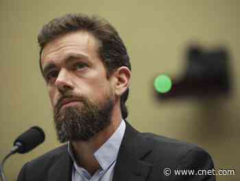 Activist investor seeks to replace Jack Dorsey as Twitter CEO, report says     - CNET