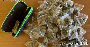 Catania, coppia spacciava “erba” a Ognina con la figlia di 9 anni in auto - La Sicilia