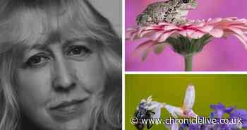 Beautiful pictures taken by North Shields photographer with ME - from her dining room table