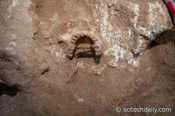 Migrations Reconstructed Through Ancient DNA: Each Mediterranean Island Has Its Own Genetic Pattern