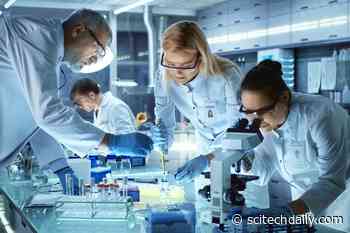 Synthetic Biologists Create New Platform for Engineering Ribosomes That Can Synthesize Materials