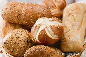 Scientists Want to Feed Old Bread to Microbes – Here’s the Plan