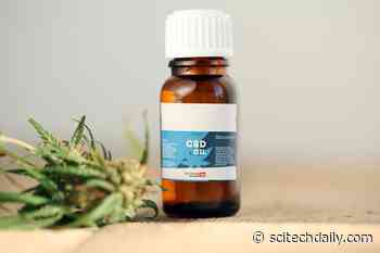 Not All Cannabis Is the Same: Pharmaceutical CBD More Effective for Reducing Epileptic Seizures