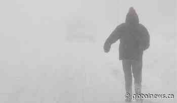 Snow squall warning in effect for Barrie, Orillia, Midland areas: Environment Canada - Global News