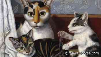 Why do so many cats have white 'socks' on their paws? - Livescience.com