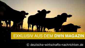 EU und MERCOSUR: Hinter dem bahnbrechenden Freihandelsvertrag steht noch ein großes Fragezeichen
