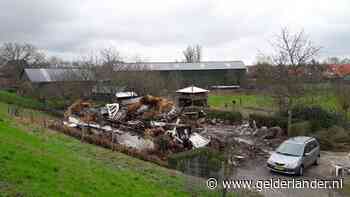 Boerderij in Maasbommel verwoest door brand, stroomstoring treft buurt