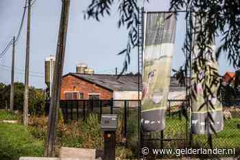 Belgische leverancier fipronil strafrechtelijk vervolgd om eierschandaal