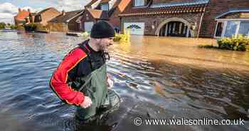 Records broken as February was wettest ever, says Met Office