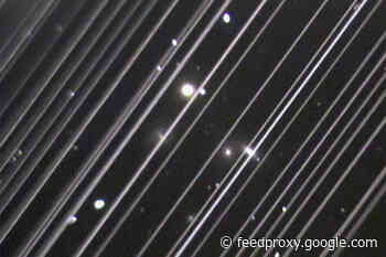 NASA Wants You to Photograph Starlink Satellites With Your Smartphone