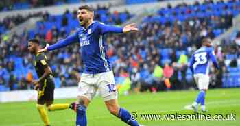 The solid Cardiff City player ratings as wind-up merchant and battering ram excel but two struggle in Brentford thriller