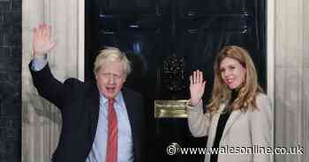 Boris Johnson and Carrie Symonds are expecting and engaged