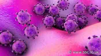 Coronavirus: First case in Wales confirmed