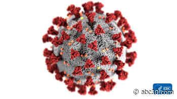 Man in Washington state first in US to die from new coronavirus