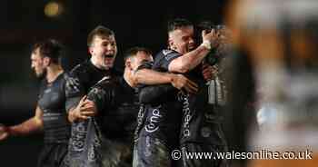 Dragons 13-10 Cheetahs: Sam Davies gives Wayne Pivac a nudge with match-winning injury-time penalty in awful conditions